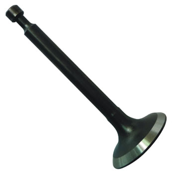 Garden Tools (5)